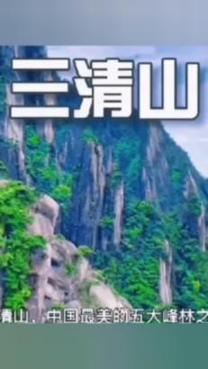 寻找萌小老虎