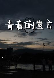 拯救受伤的猫
