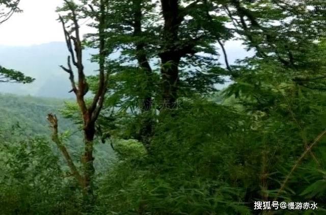 商周交替，商朝灭亡不是商纣王一个人的错，也不是姬发一代人的功
