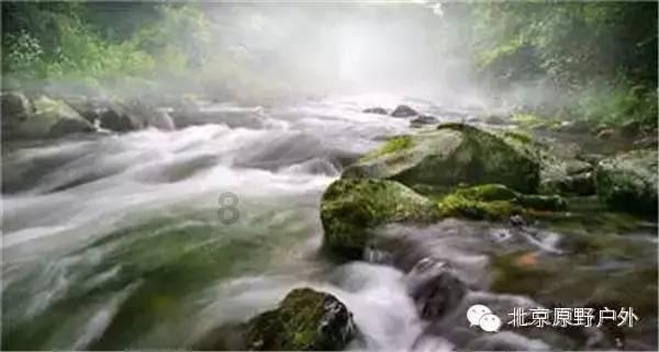 虫虫助手下载
