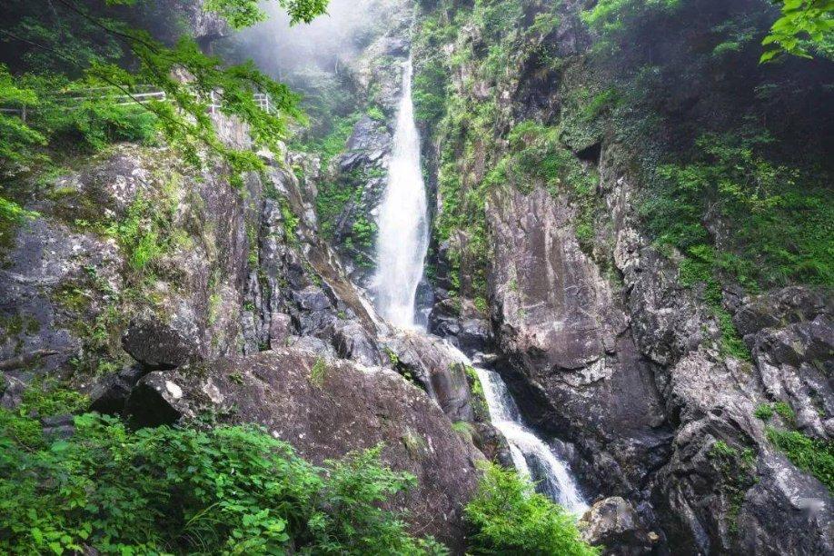 贵州医科大学携手纳雍持续巩固提升地氟病防治成效