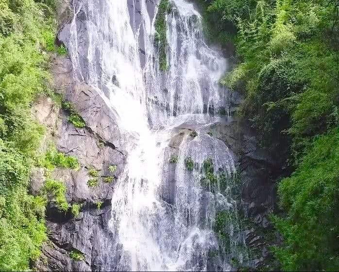 救援蒙克