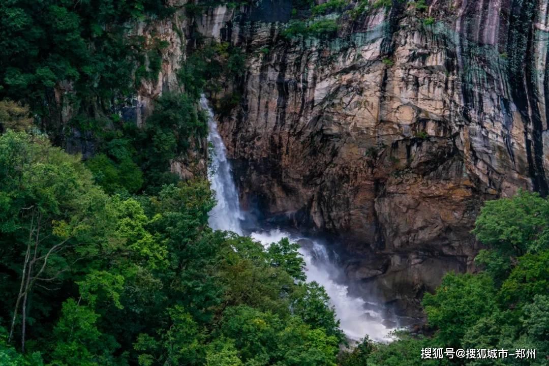 篮球大师