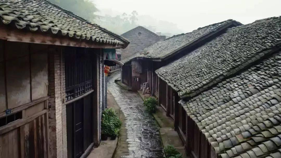 拯救龙精灵