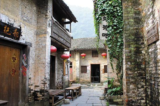 除虫大师