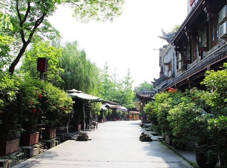长春中医药大学女篮夺冠!